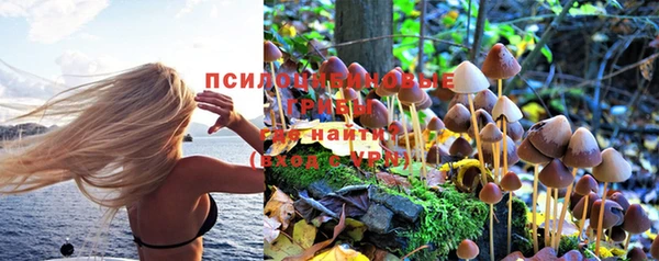 дживик Балахна